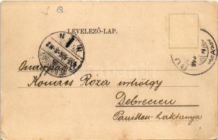 1903 Buziás, Deák Ferenc pihenője / Franz Deák's Ruheplatz (EK)