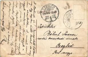 1906 Félix-fürdő, Baile Felix (Nagyvárad, Oradea); hűtő fürdő. Goldberger Adolf kiadása / spa, cooli...