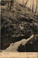 1909 Menyháza, Monyásza, Moneasa; Boraj esés, vízesés / waterfall (fl)
