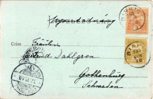 1900 Marosberkes, Birkis, Birchis; Mocsónyi-kastély. B. Angerstein / castle (EK)