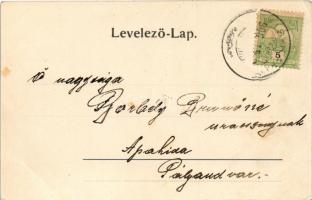 1906 Kiskapus, Kis-Kapus, Kleinkopisch, Copsa Mica; Vasútállomás, vasutasok, állomási épület és séta...