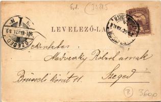 1901 Szatmárnémeti, Szatmár, Satu Mare; Városi kioszk. Reizer János kiadása / kiosk, restaurant (EK)