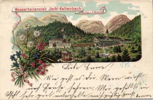 Ischl-Kaltenbach Litho