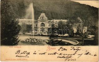 1900 Sinaia, Hotel Caraiman (wet corner)