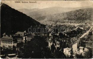 1906 Sinaia, Vederea Generala (EK)