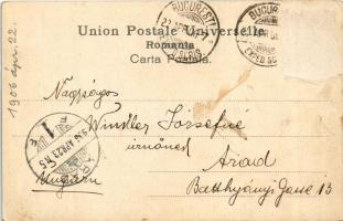 1906 Sinaia, Parcul Castelului Peles / castle park (Rb)