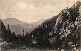 Bucsecs-hegység, Butschetsch, Muntii Bucegi; Malajester-Schlucht mit Schutzhütte. Siebenbürgische Karpathen / szurdok, menedékház, turistaház. Wilhelm Hiemesch kiadása / mountain rest house, tourist house, chalet (EK)