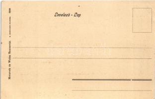 1904 Temesvár, Timisoara; Jenő herceg utca, villamos, Dr. Schwenk Anton fogorvosi rendelője, üzletek...