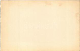 Bikszád-gyógyfürdő, Baile Bixad; A nagy vendéglő, étterem / restaurant, spa - leporellóból / from le...