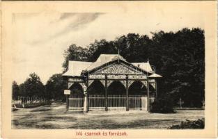 Bikszád-gyógyfürdő, Baile Bixad; ivócsarnok és források / spa, spring source and well - leporellóból / from leporello booklet (non PC)