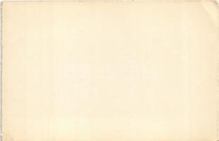 Bikszád-gyógyfürdő, Baile Bixad; Hidegvíz gyógyintézet / spa, bath - leporellóból / from leporello b...