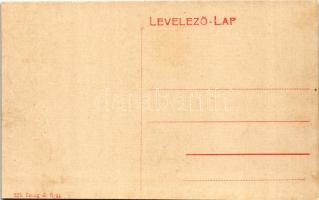 Segesvár, Schässburg, Sighisoara; Iskola utca, üzlet. W.L. (?) 525. W. Nagy kiadása / Schulgasse / S...