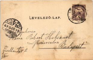 1901 Lőcse, Levoca; Városháza. Latzin János kiadása / Rathaus / town hall (vágott / cut)