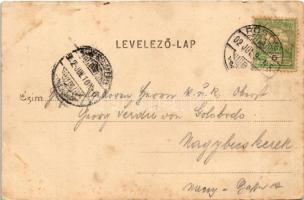 1902 Pöstyén, Piestany; Fürdők madártávlatból. Julius Lampl kiadása / Bäder aus der Vogelperspektive...