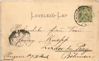 1905 Komárom, Komárno; Nagy Duna híd. Schönwald T. kiadása / Grosse Donau-Brücke / Danube bridge (EK...