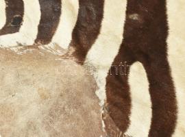 Zebrabőr, kopott, 257x160 cm /