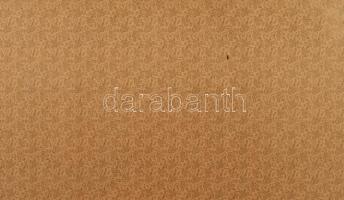 1880 körül, aranyozott nagy bőrmappa, sérülésekkel, 94x73 cm / A tétel a Gödöllői Királyi Kastélyban...