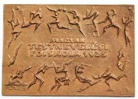 ~1975. Magyar Testnevelési Főiskola 1925 bronz plakett, eredeti tokban (75x108mm) T:UNC