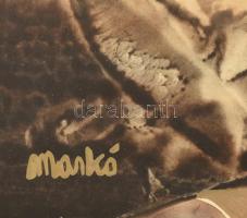 Markó Erzsébet (1947-): Táj. Olaj, farost, jelezve balra lent, fakeretben, 50x90 cm / oil on wood fi...