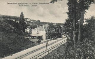 Savanyukút Railway-station