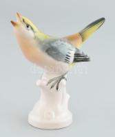 Német porcelán figura, madár, kopott, jelzett, m: 13 cm