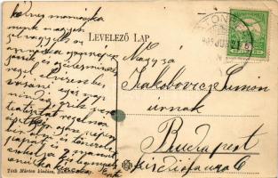 1909 Balatonberény, Berény fürdő; nyaralók, szőlőskert. Tóth Márton kiadása (EK)