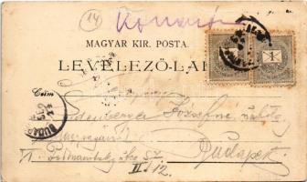 1898 (Vorläufer) Kisbér, kastély a törzsmén istállóval. Nyom. Haftl (fl)