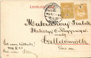 1909 Szeged, Újszegedi Vigadó. Grünwald Herman kiadása (EK)