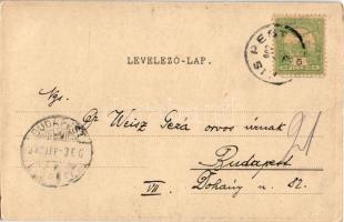 1903 Budapest XIX. Kispesti tűzoltótorony. Fischhof Henrik kiadása (EK)