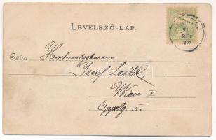 1901 Budapest XXII. Budafok, Fő utca és Országút sarok, Oberding József üzlete, villamossín, piac. I...