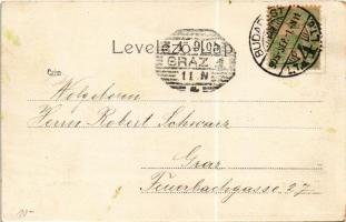 1905 Budakeszi, Virágvölgy. Stern Jakab kiadása / Blumenthal (EK)