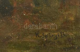 K Spányi B jelzéssel: Őszi táj. Olaj, vászon. Javított. 40x50 cm