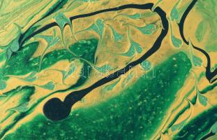 Kunt Anna (1985-): Smaragdarany. Akril, vászon. Jelzett a hátoldalon. 50x70cm