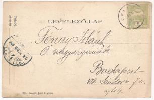 1906 Balatonaliga, Aliga; Vendéglő kertje. Novák Jenő kiadása (EK)