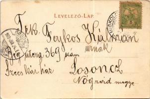 1903 Diósgyőr (Miskolc), vasgyár madártávlatból. Stamberger Bernát kiadása