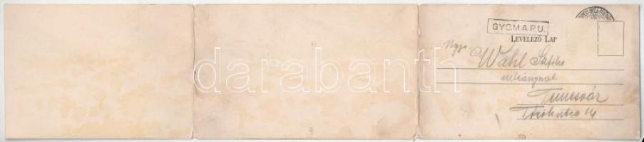 Gyoma (Gyomaendrőd). 3-részes kinyitható panorámalap (fl)