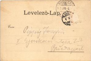 1900 Budapest XXII. Budafok, Promontor; északi rész, szőlőhegy. Ifj. Simon József kiadása (Rb)