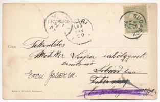 1905 Budapest XXII. Budafok, Kossuth Lajos utca középső része, Hantzman Ferenc üzlete. Kohn és Grünh...