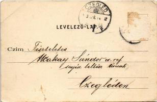 1903 Verőce, Kiss utca, háttérben Huszár Pufi villája (Rb)