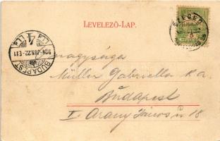 1904 Hódmezővásárhely, Andrássy utca, üzletek. Reisz Bazár kiadása, Art Nouveau, floral