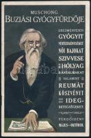 1911 Buziásfürdő képes prospektusa, képekkel illusztrált, 31p