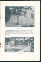 1911 Buziásfürdő képes prospektusa, képekkel illusztrált, 31p