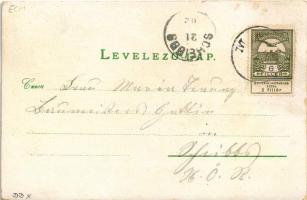 Mór, Vértes hegy, Wiesner János üzlete, szőlő. Wiesner István kiadása, Art Nouveau, floral, litho (r...