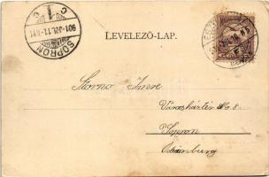 1901 Esztergom, Buda utca. Stromf Ignác kiadása (EK)