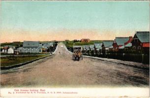 Cullinan Diamond Mine, Oak Avenue looking East. Published by R. O. Füsslein No. 9. - from postcard booklet