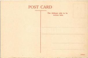 Cullinan Diamond Mine, Oak Avenue looking East. Published by R. O. Füsslein No. 9. - from postcard b...