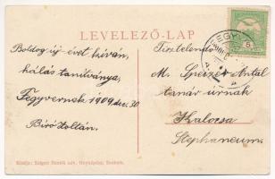 1909 Fegyvernek, Bíró Zoltán főszolgabíró, földbirtokos telepe, uradalom, ló. Bíró Zoltán saját leve...