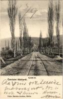 1905 Siklós, Gyűdi út, Máriagyűdi templom a háttérben. Feiler Mariska kiadása