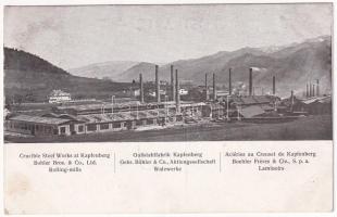 1909 Kapfenberg (Steiermark), Gußstahlfabrik Gebr. Böhler & Co. Aktiengesellschaft Walzwerke / Crucible Steel Works at Kapfenberg. Bohler Bros. & Co. Ltd. Rolling mills (EK)