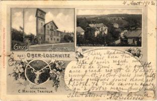 1902 Dresden, Ober-Loschwitz, Hotel Felsenburg, Blick vom Hotel Felsenburg. Weisser Hirsch C. Maisch, Traiteur. Art Nouveau, floral (EK)